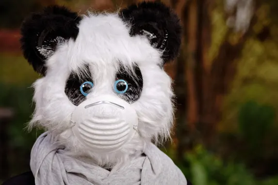 베가드림 카지노 지원